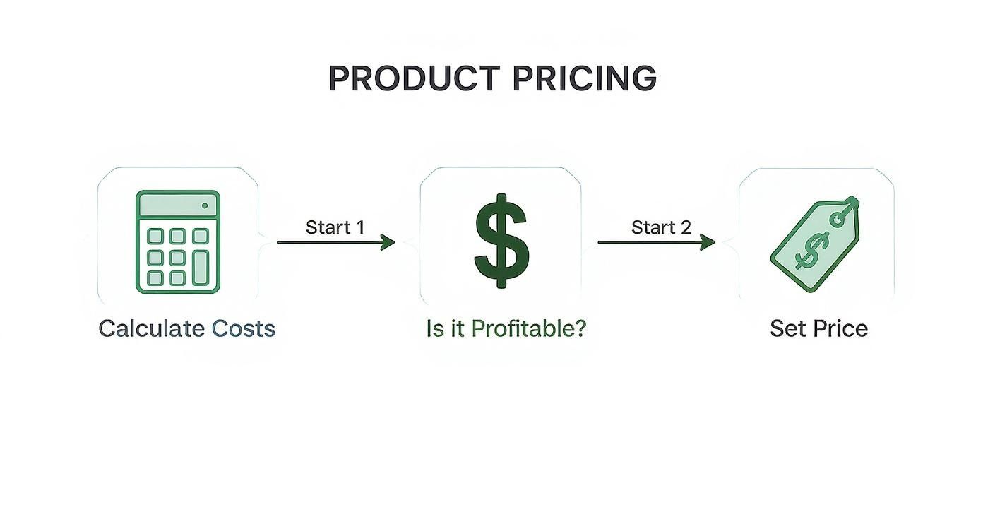Infographic about how to price your product