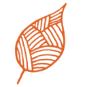 Cork Tree Creative logo