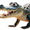 0tak1_v1
