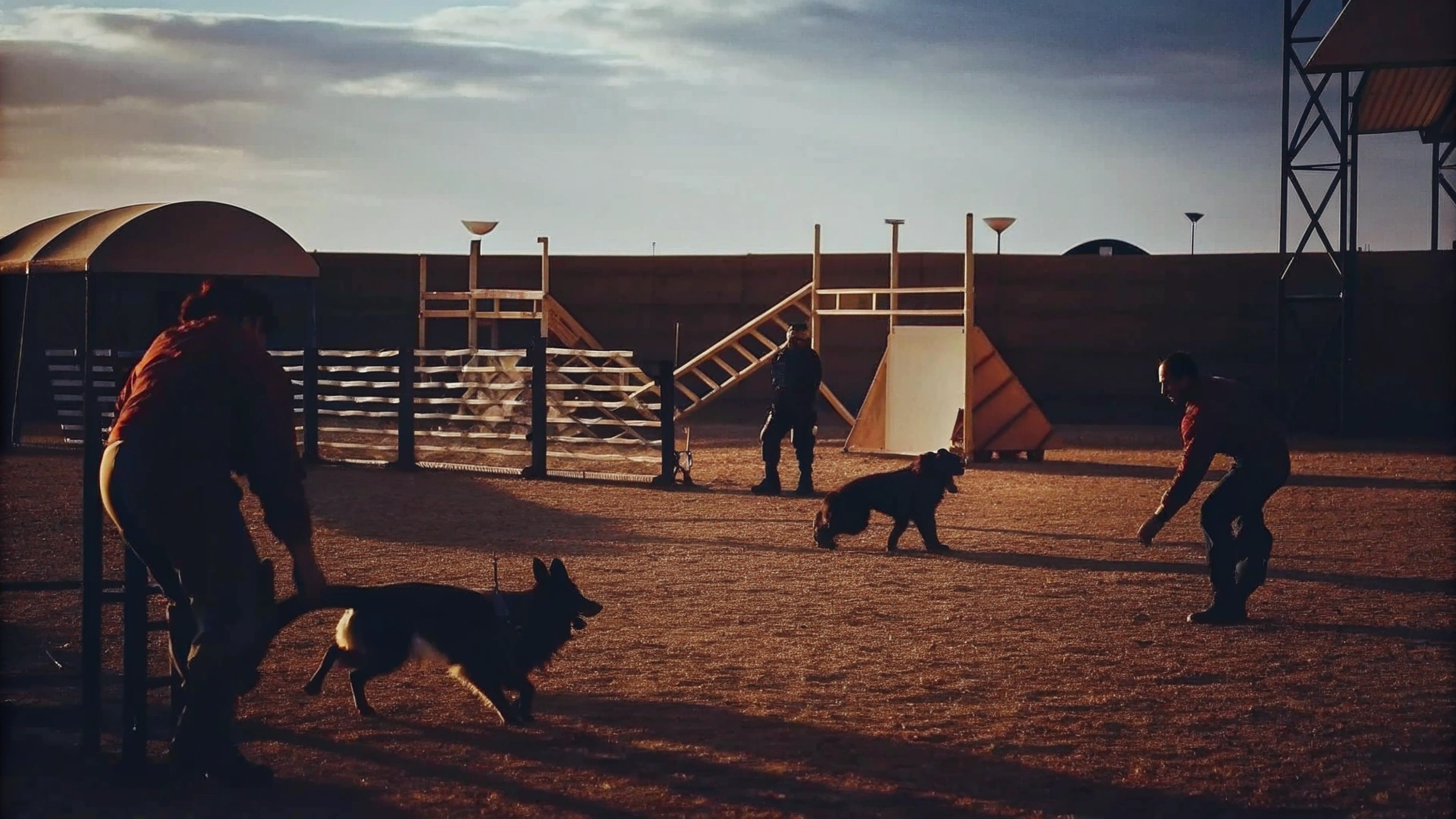 Essential Skills for Dog Handlers