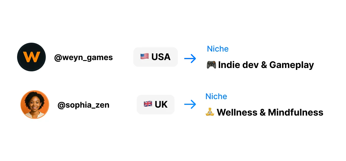 Accounts matched to niches by country