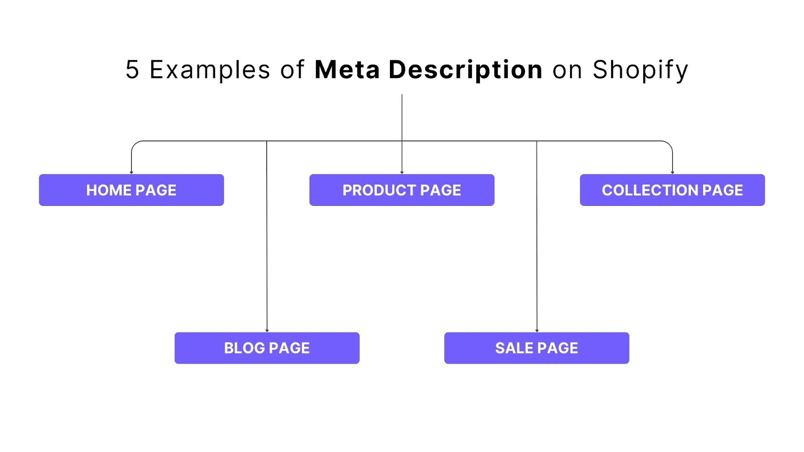 5 Examples of Meta Description on Shopify