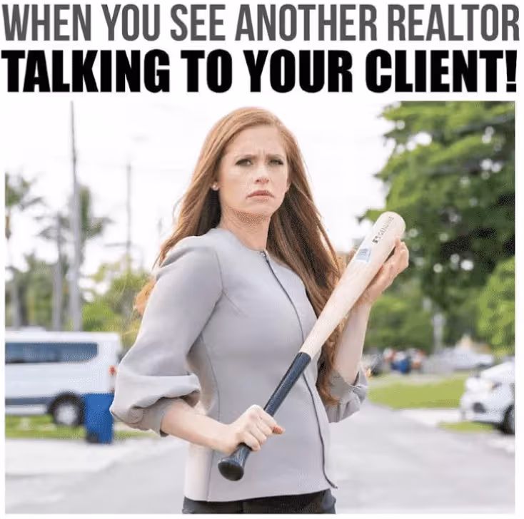 Real estate professional meme