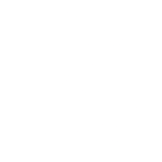 shopify logo