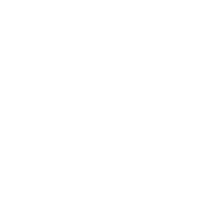 shopify logo