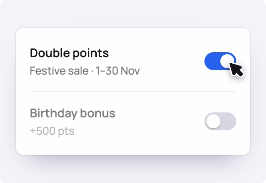 Reward rules with double points switched on for the festive sale and a birthday bonus of 500 points.