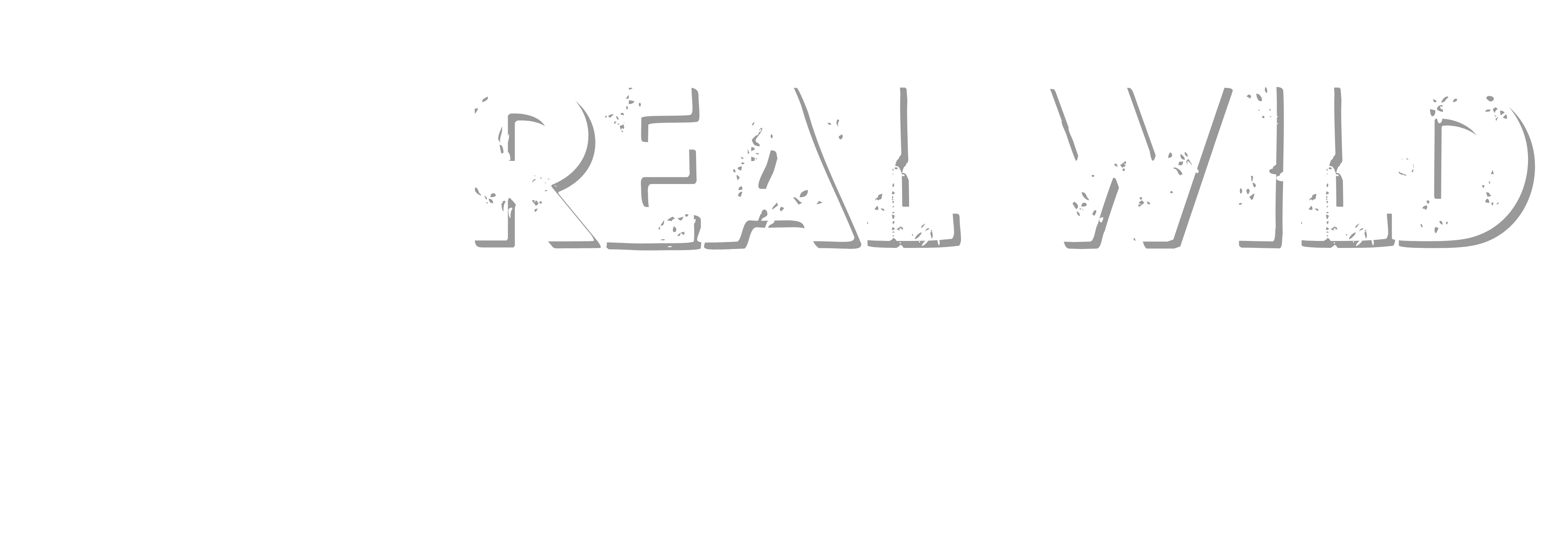 Real World Adventure