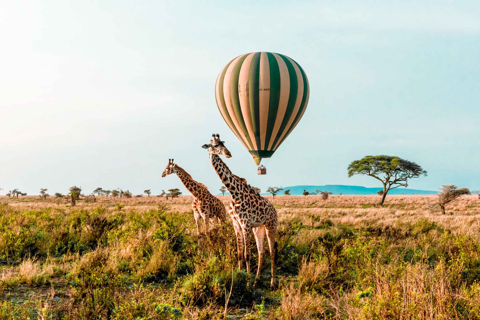 Real World Adventure