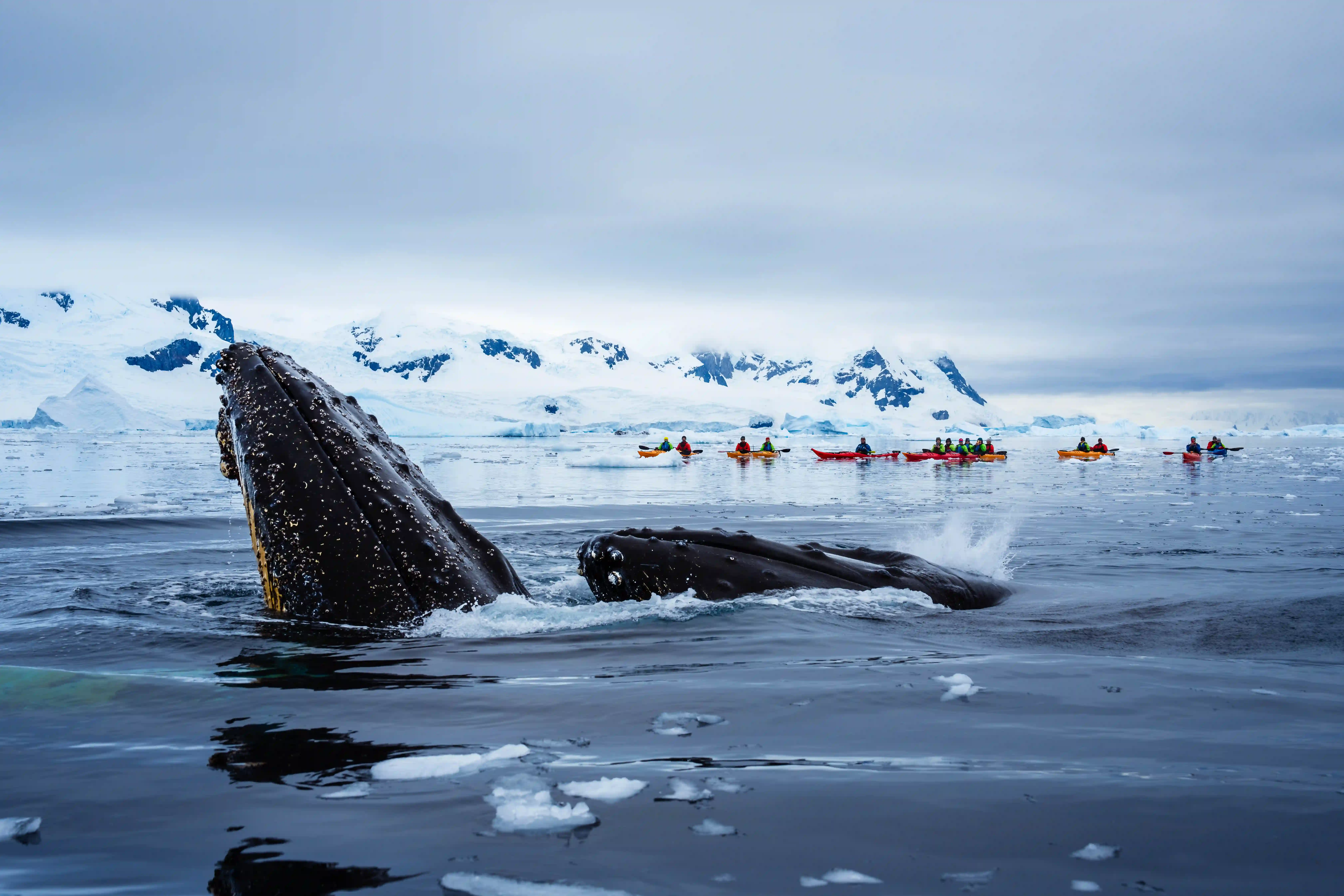 Real World Adventure