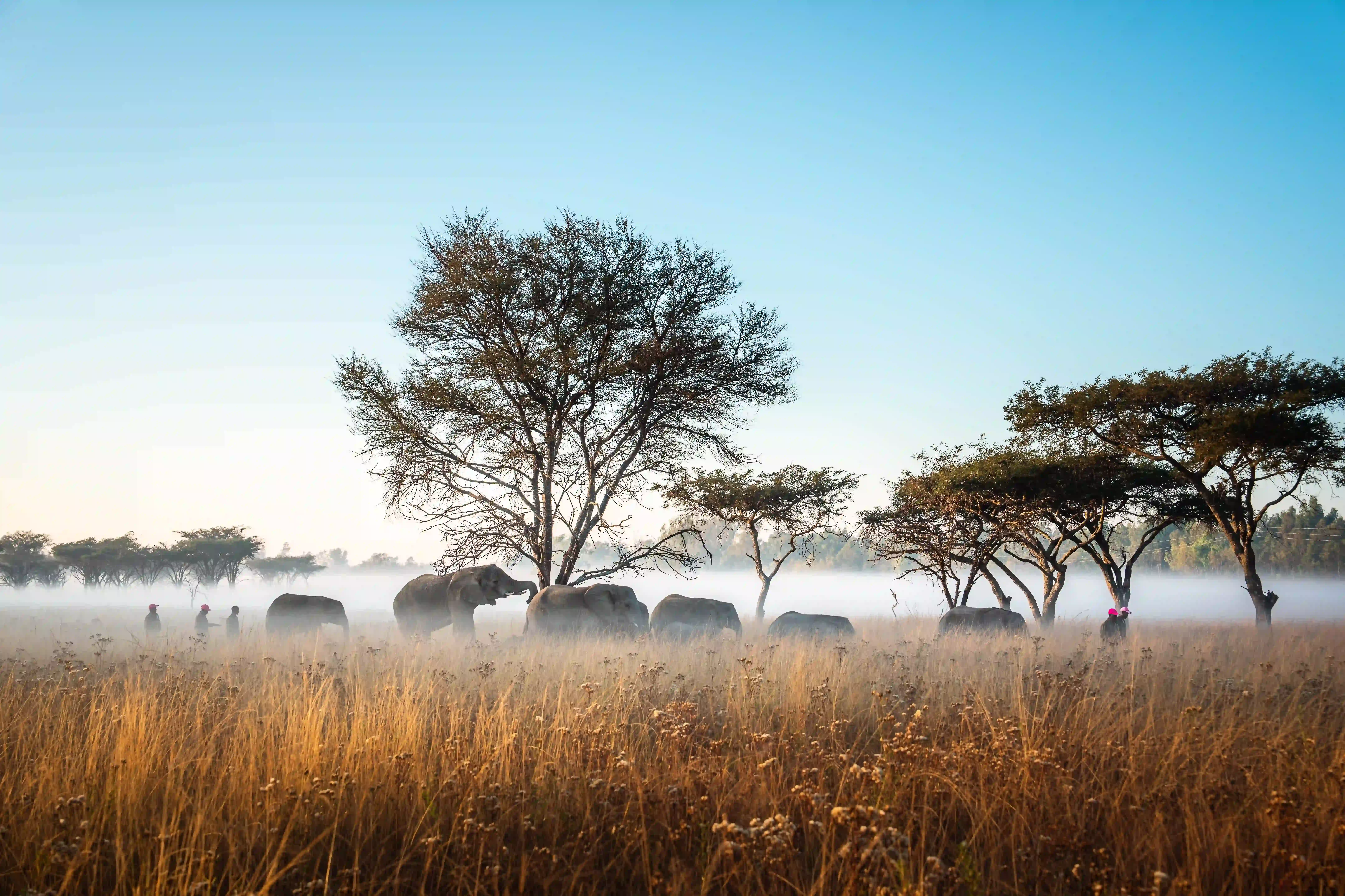 Real World Adventures hosting