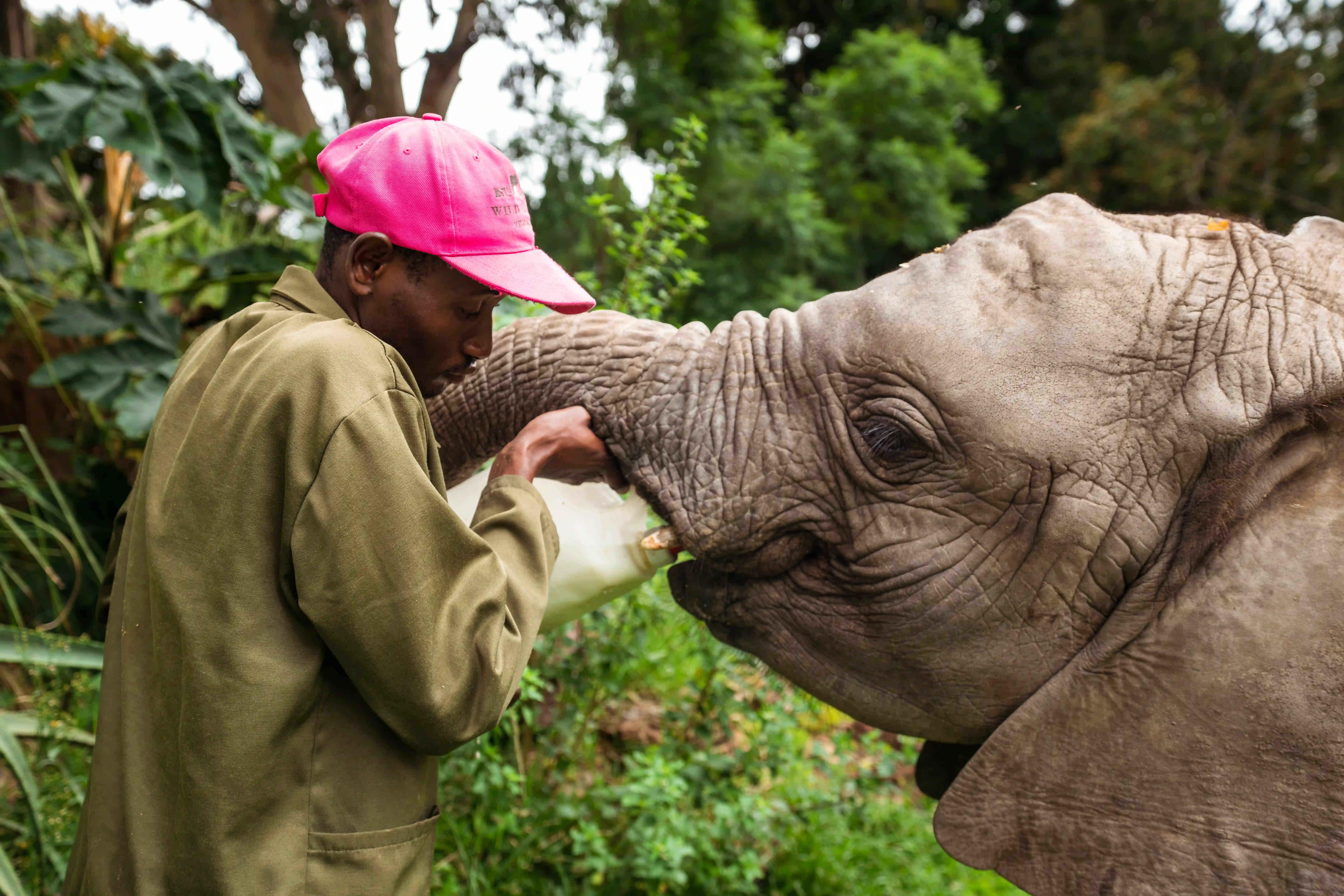 Real World Adventure