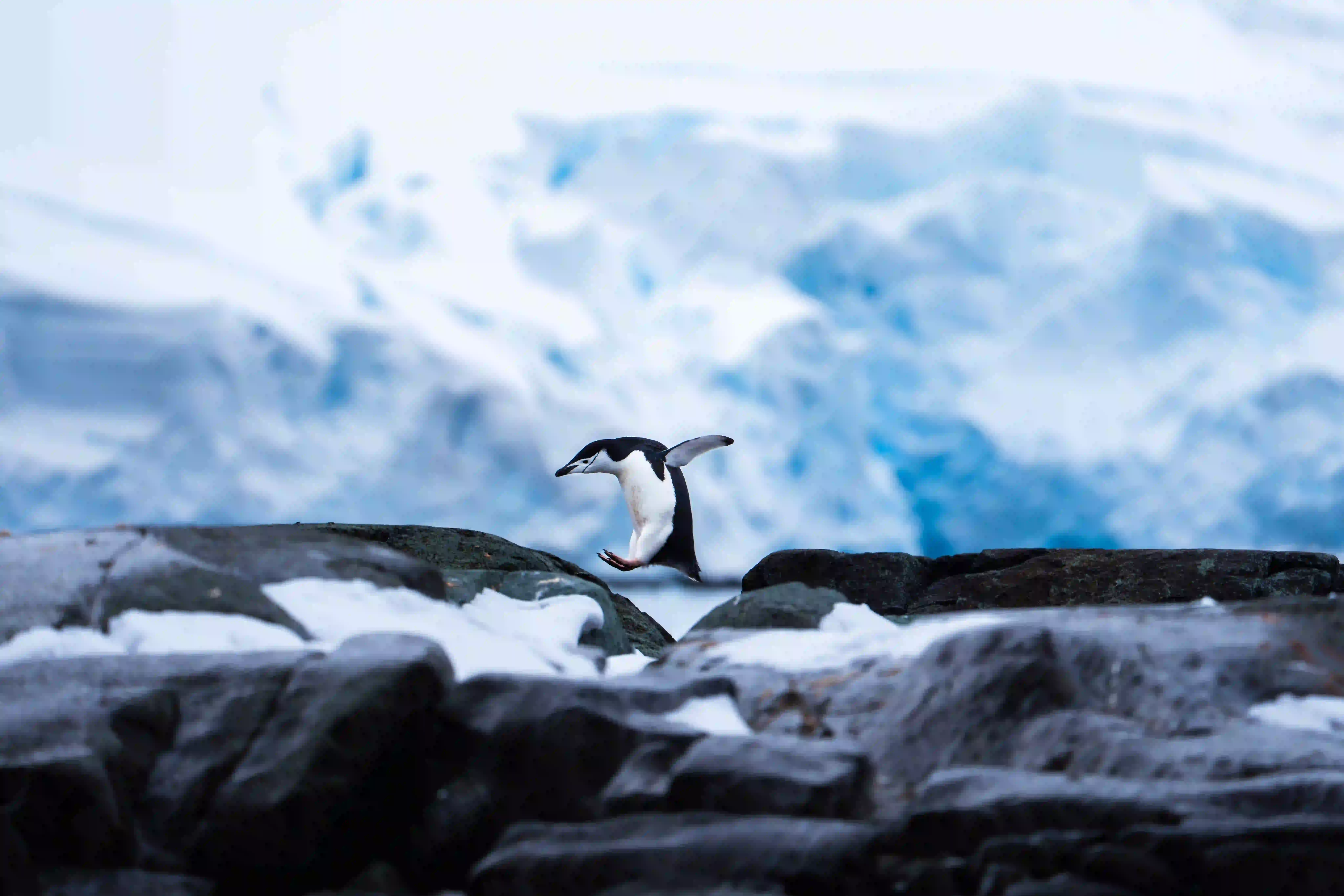 Real World Adventure