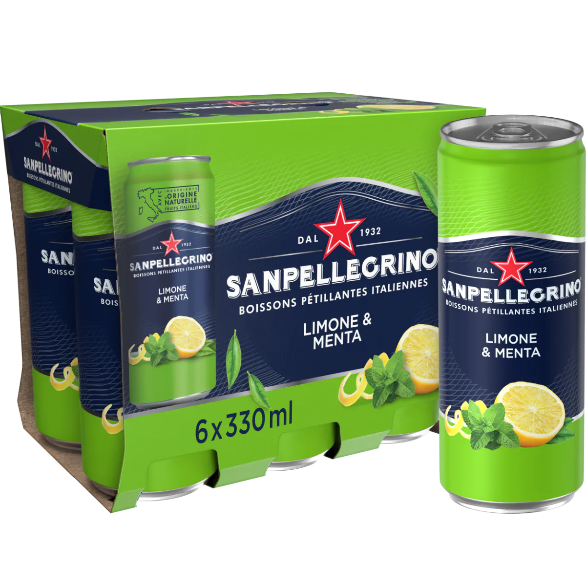 SAN PELLEGRINO LIMONE E MENTA 24X33CL BURK