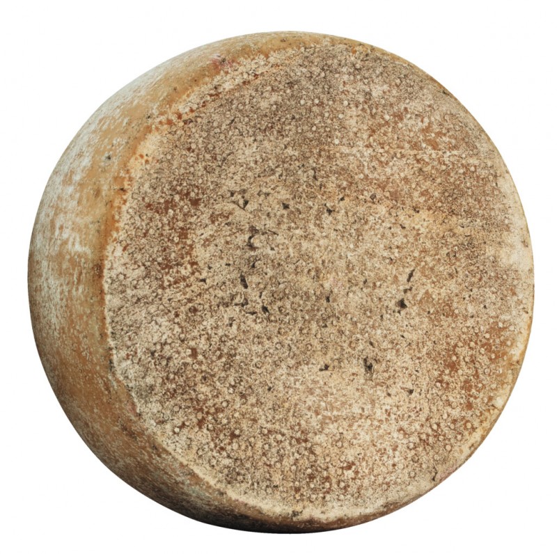 TIU ETTORI PECORINO LATTE CRUDO LAGRAD 1,5KG C.A.