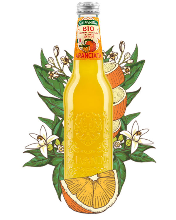 Galvanina Aranciata Bio 355Ml X12St