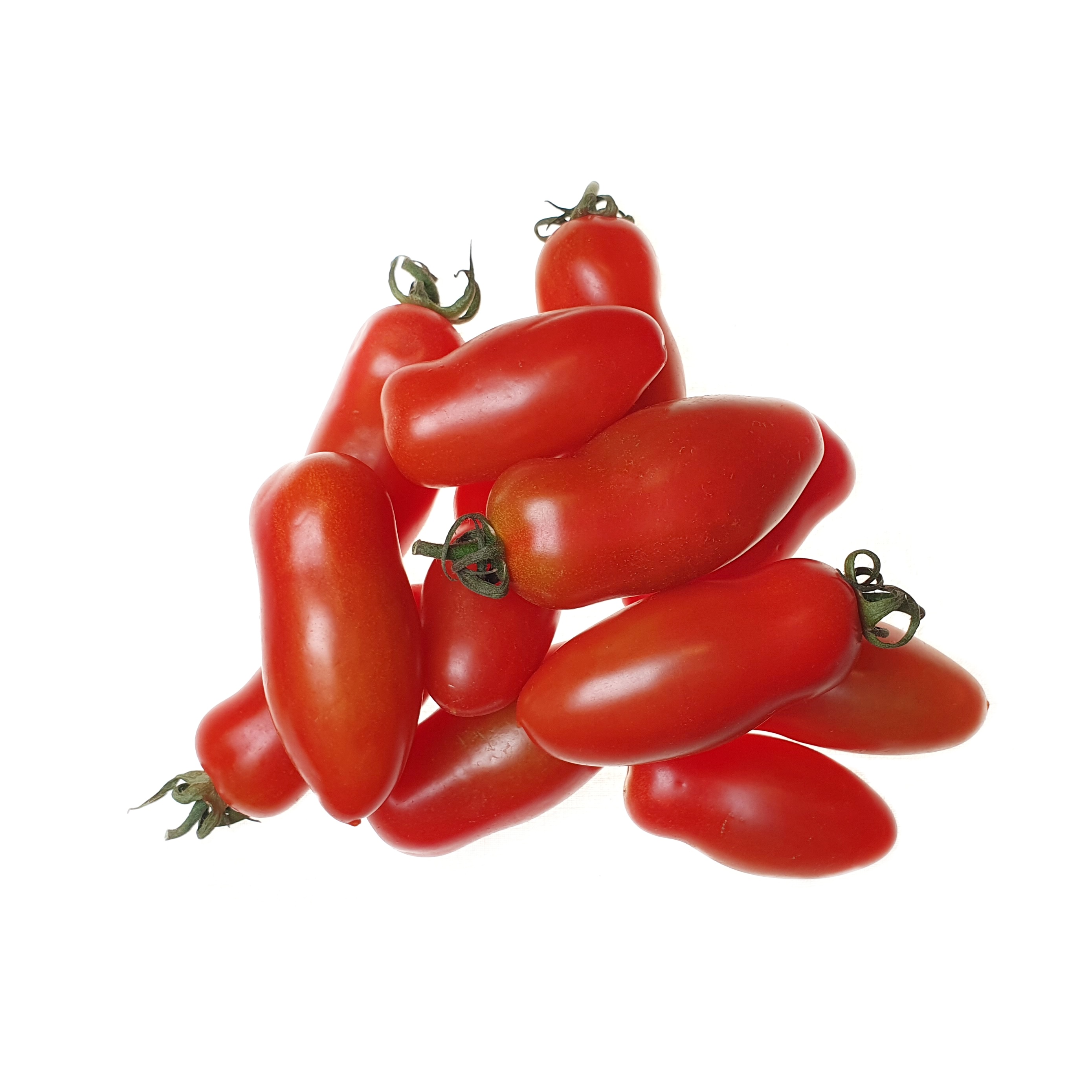 Tomater San Marzano Ovetto Färsk