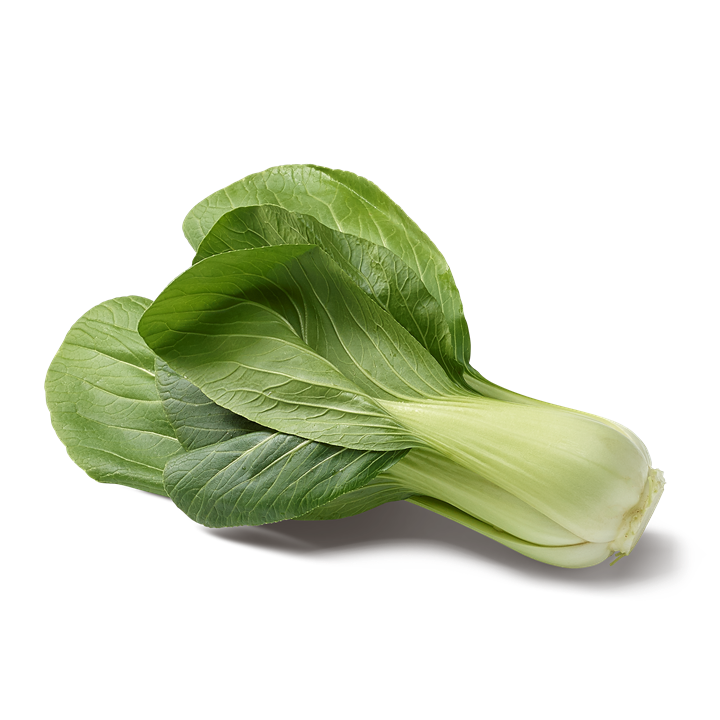 Färsk pak choi Cavoli cinesi fresco