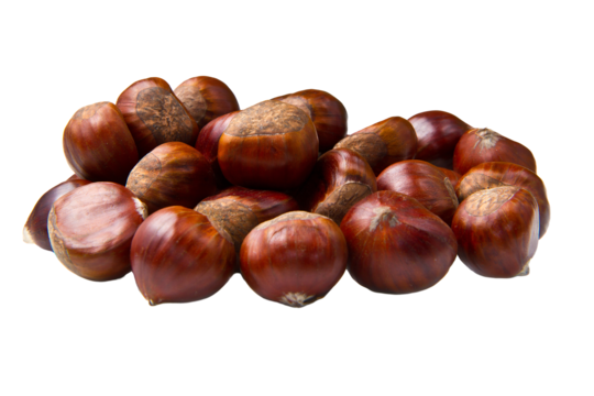 Jättekastanj Castagne Jumbo
