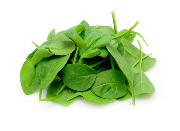 Spinacino Vaschette Ortoromi