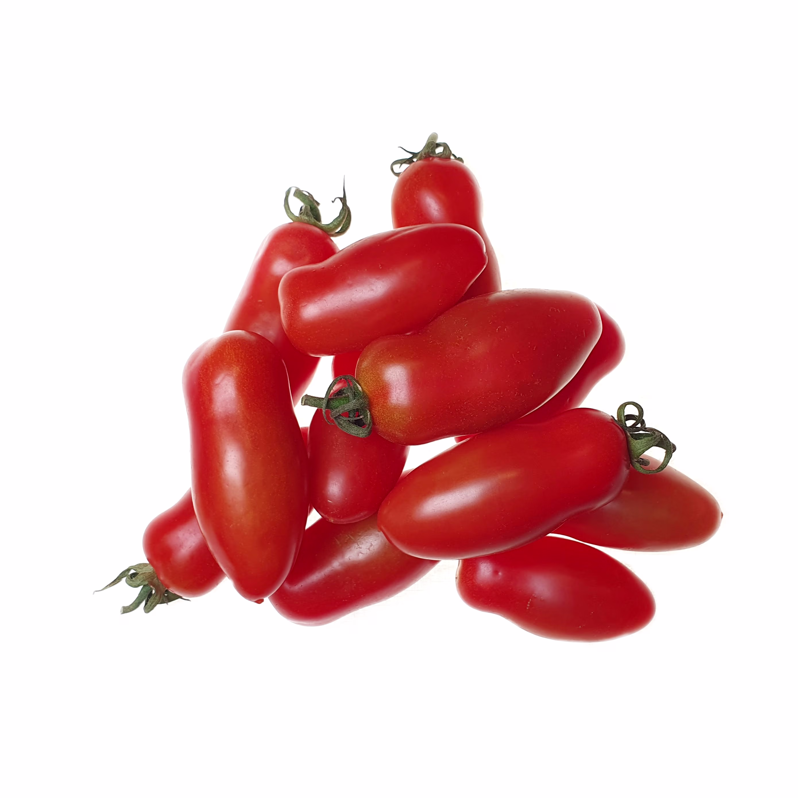 Tomater San Marzano Ovetto Färsk