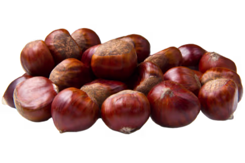 Jättekastanj Castagne Jumbo
