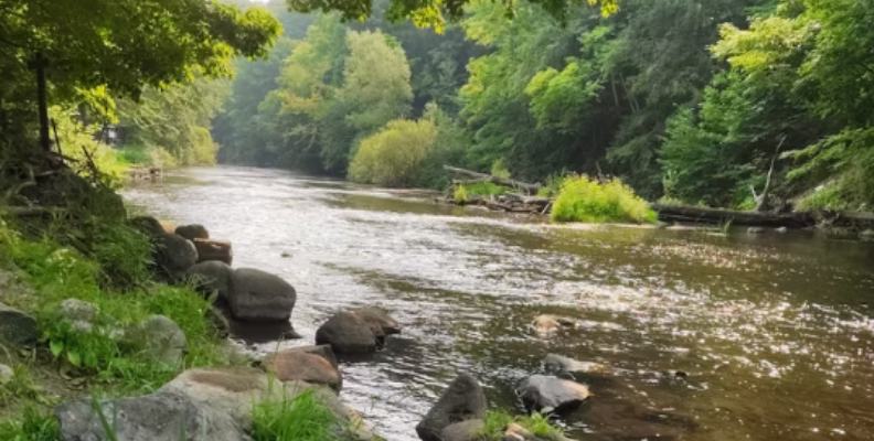 Shannon Shafer, founder of Esternow and A&E Connect