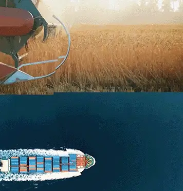 Dramatic aerial and cinematic shots used in a Graphrs-produced trailer and opener video