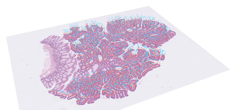 Image of slide with overlay