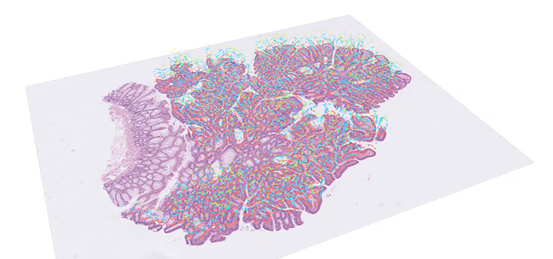 Image of slide with additional overlay