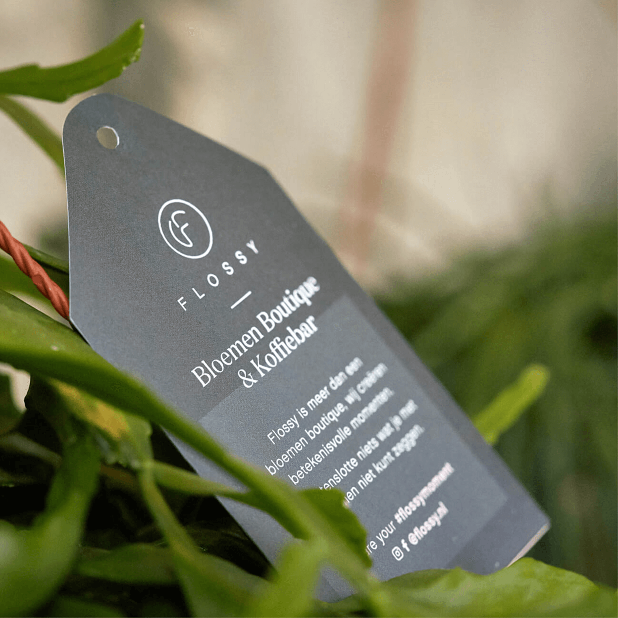 Label opgemaakt in de stijl van Flossy door Studio Piraat.