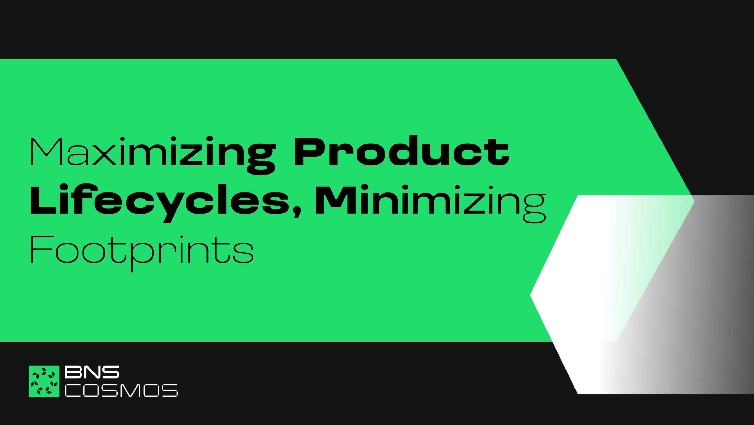 Een grafische uiting van BNS ontworpen van Studio Piraat.