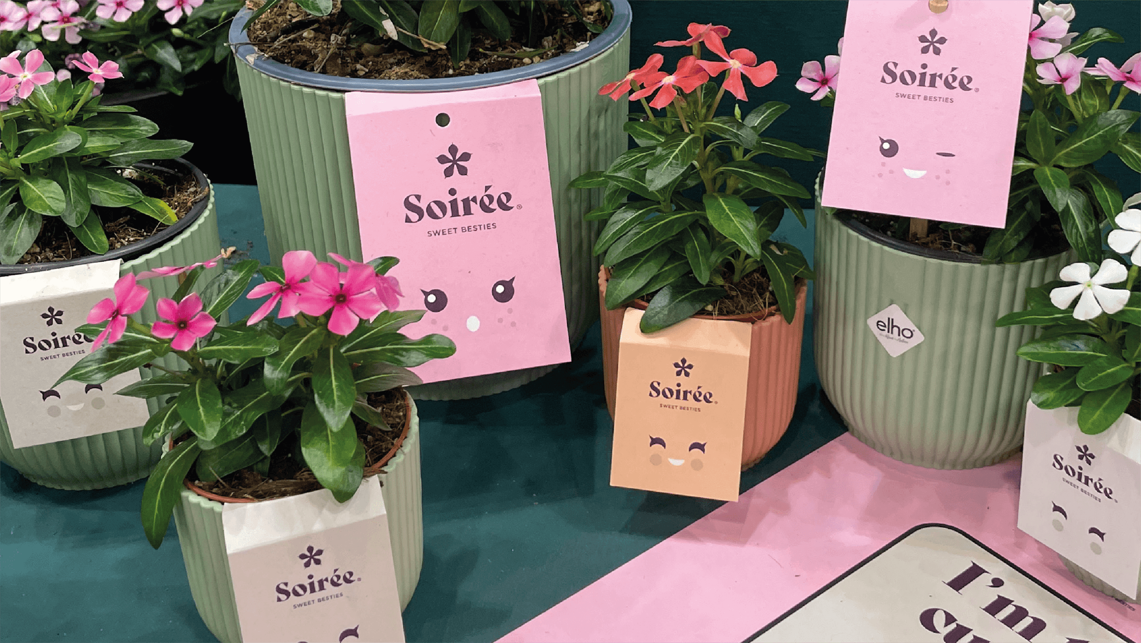 Verschillende labels aan bloemen van Soirée.