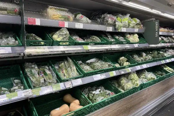 What is Modified Atmosphere Packaging?