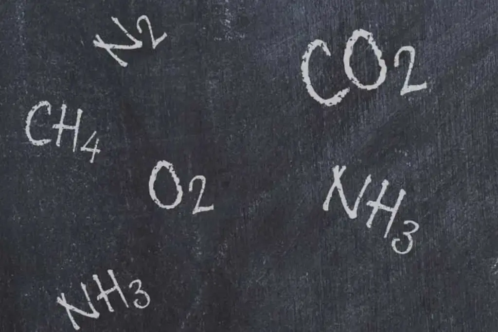What gases are used in Modified Atmosphere Packaging?