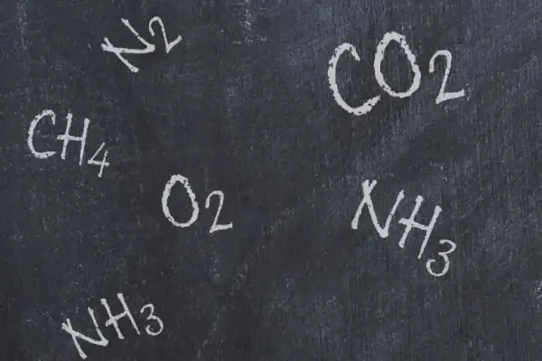 What gases are used in Modified Atmosphere Packaging?