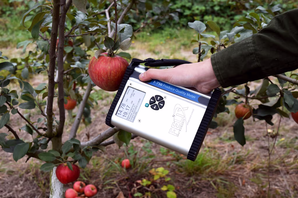 Ethylene Control Systems | Ripening Control | EMCO