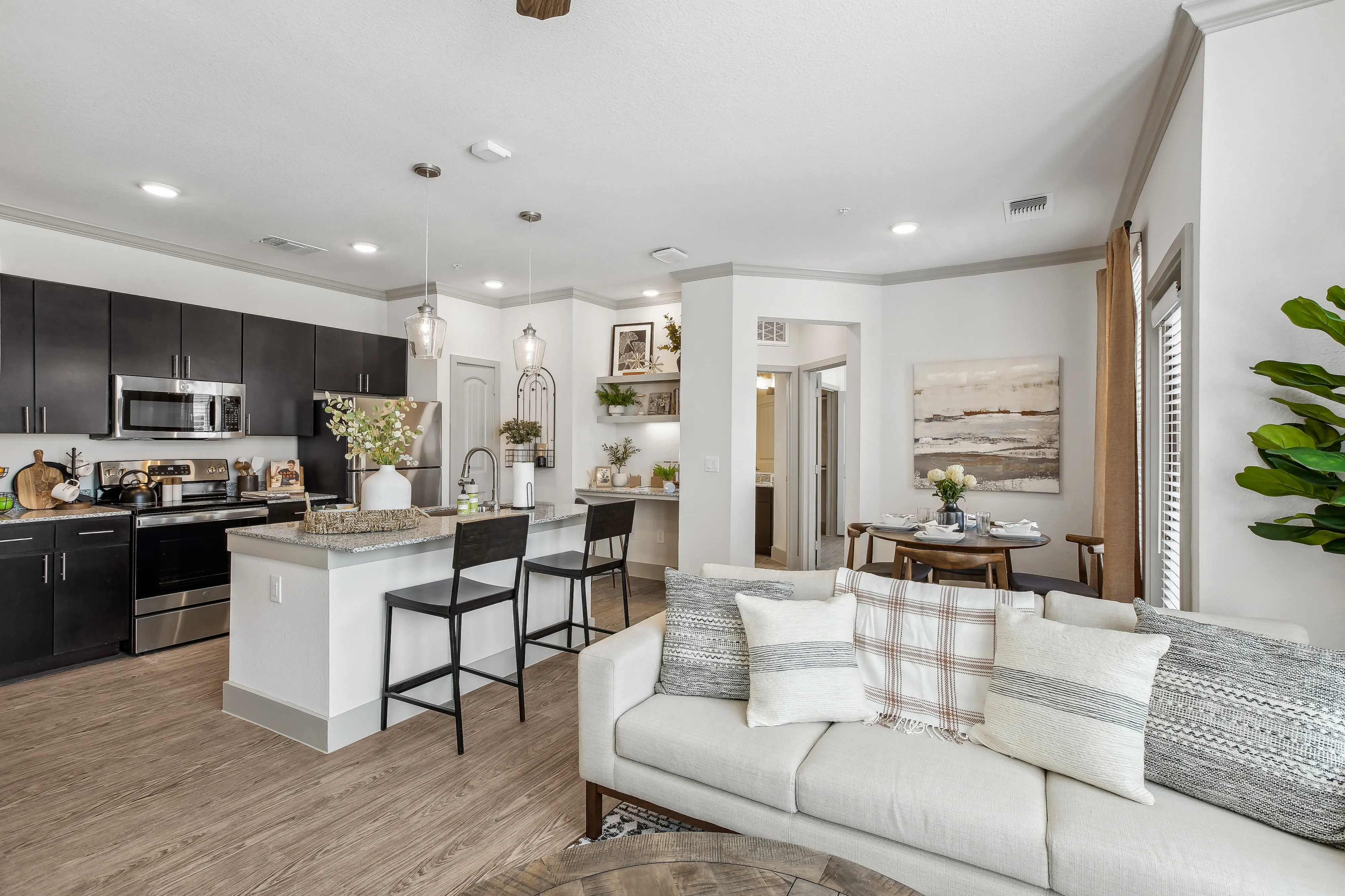 Living room and kitchen