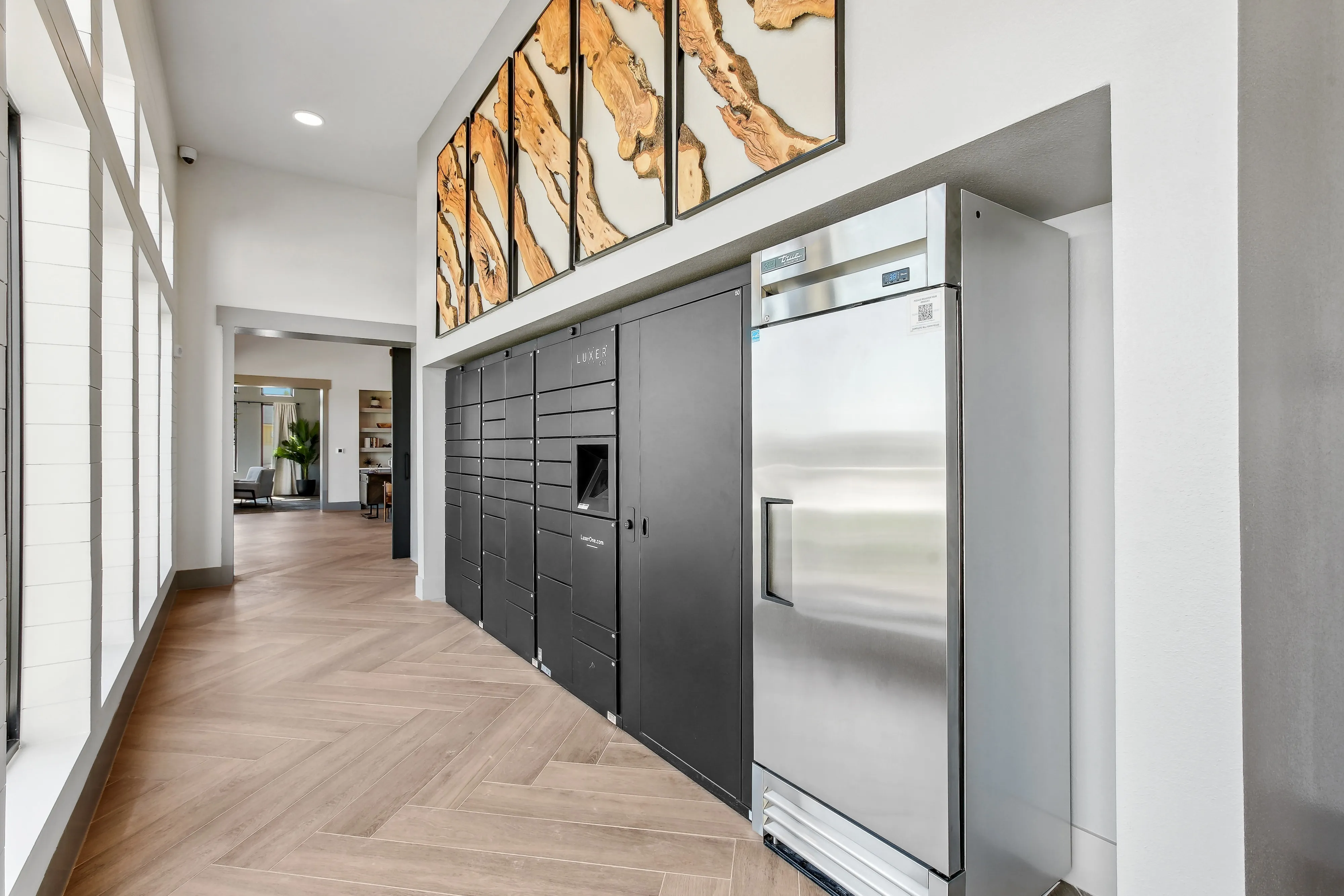 Luxury package locker