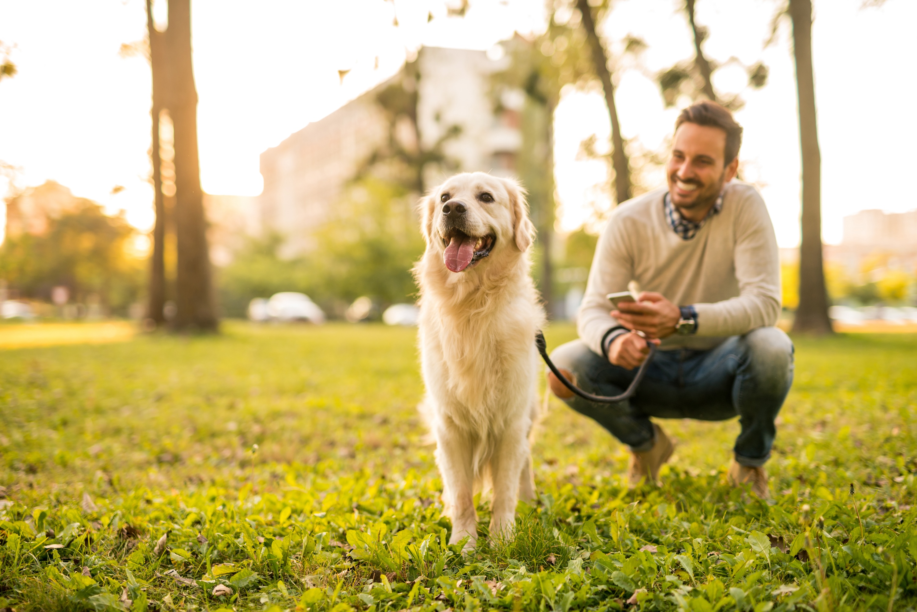 Happy man crouching with his golden retriever dog in a grassy park, representing the pet-friendly community and local parks near Paloma in San Antonio.