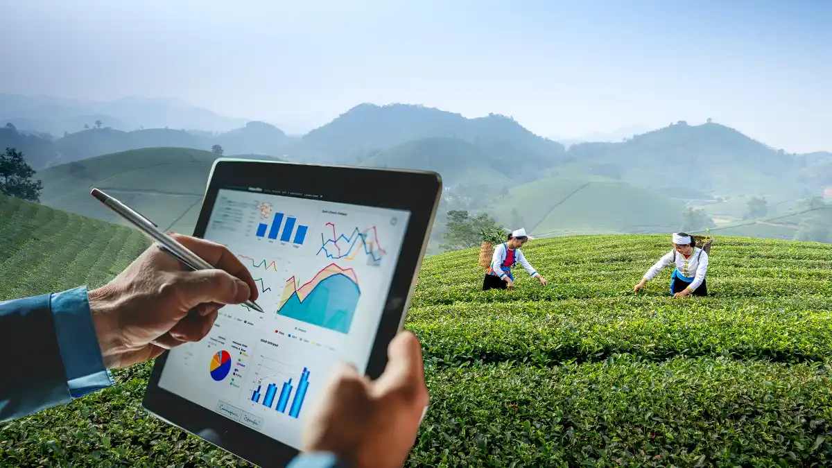 ERP for tea industry