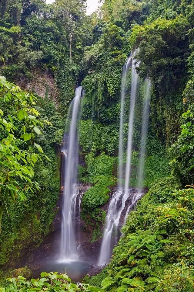 Sekumpul Waterfall Bali