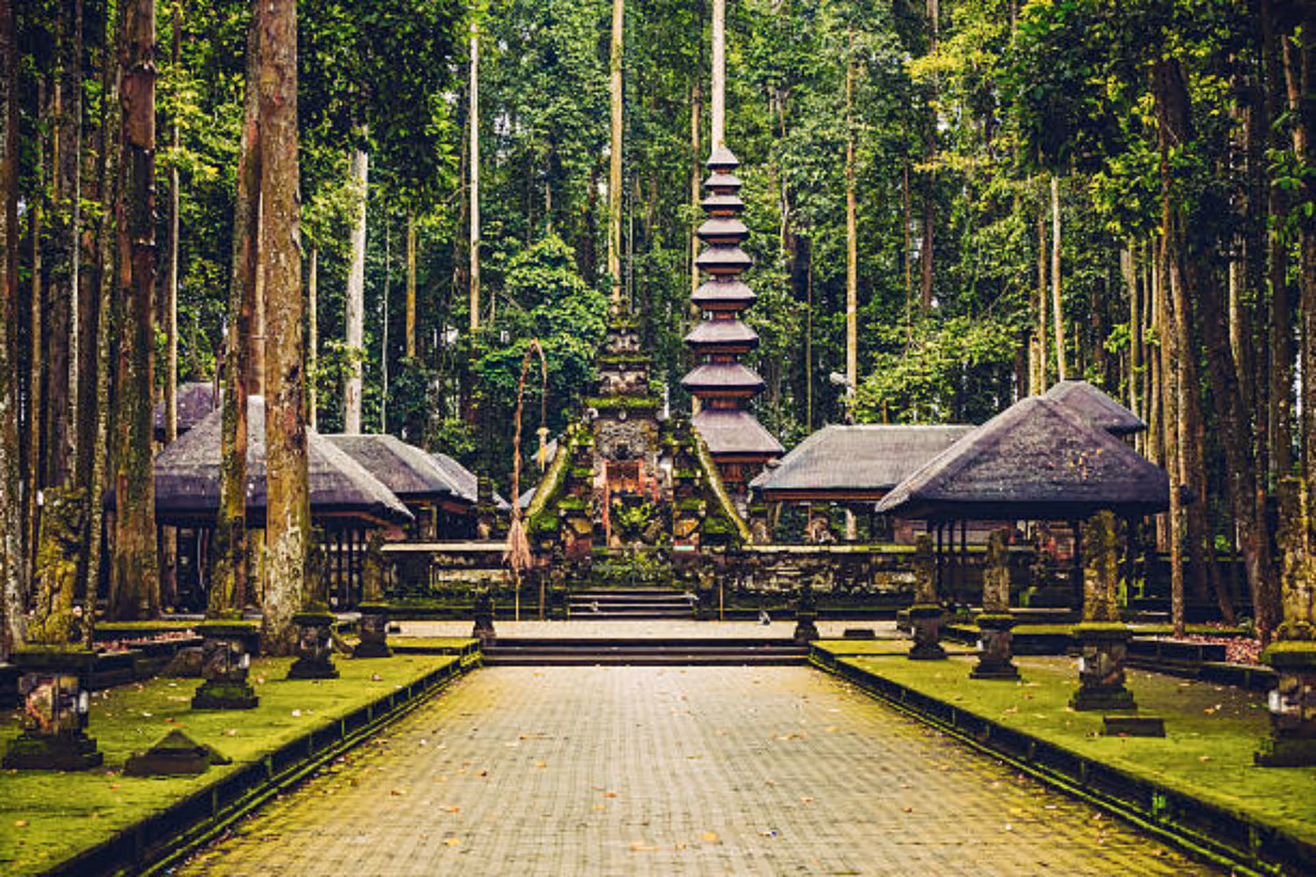 A temple situated in Monkey Forest Sanctuary