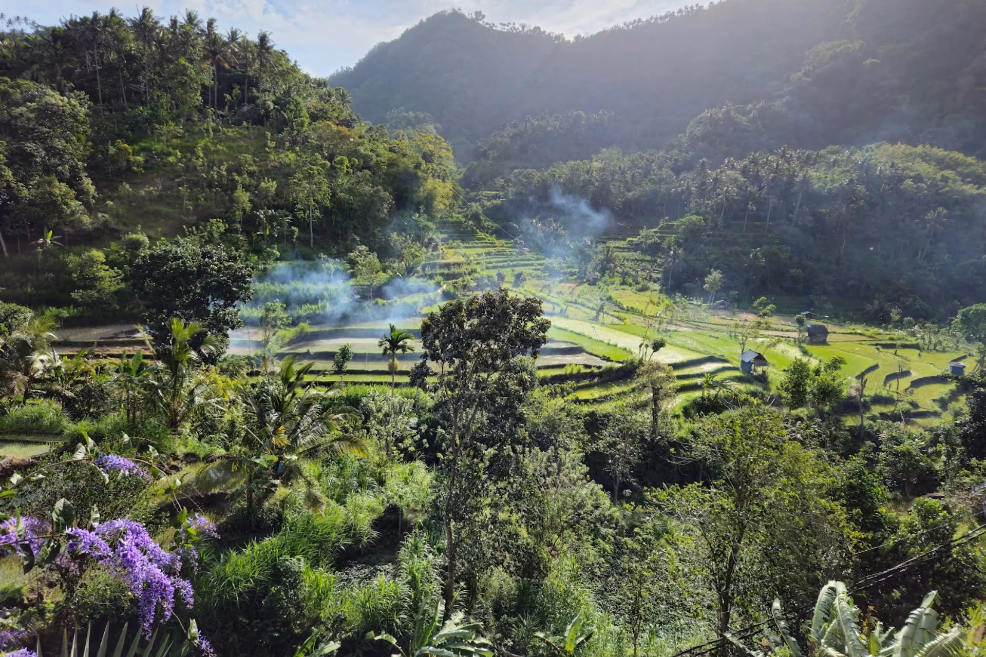 A serene view of Berina Rice Terrace surrounded with lush greenery.