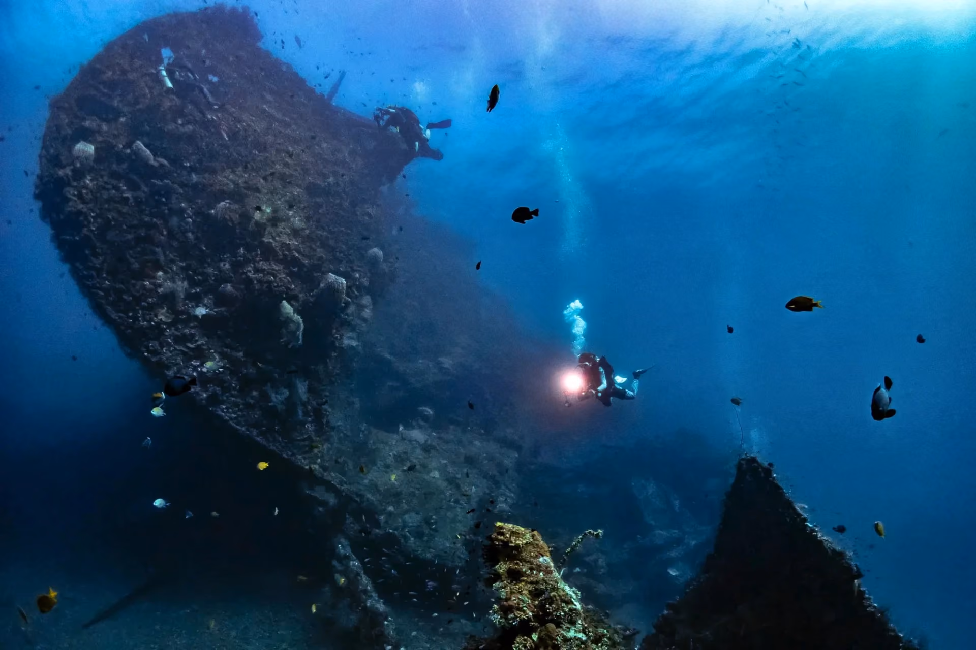 Surfing at USAT Liberty Shipwreck surrounded with rich marine life.