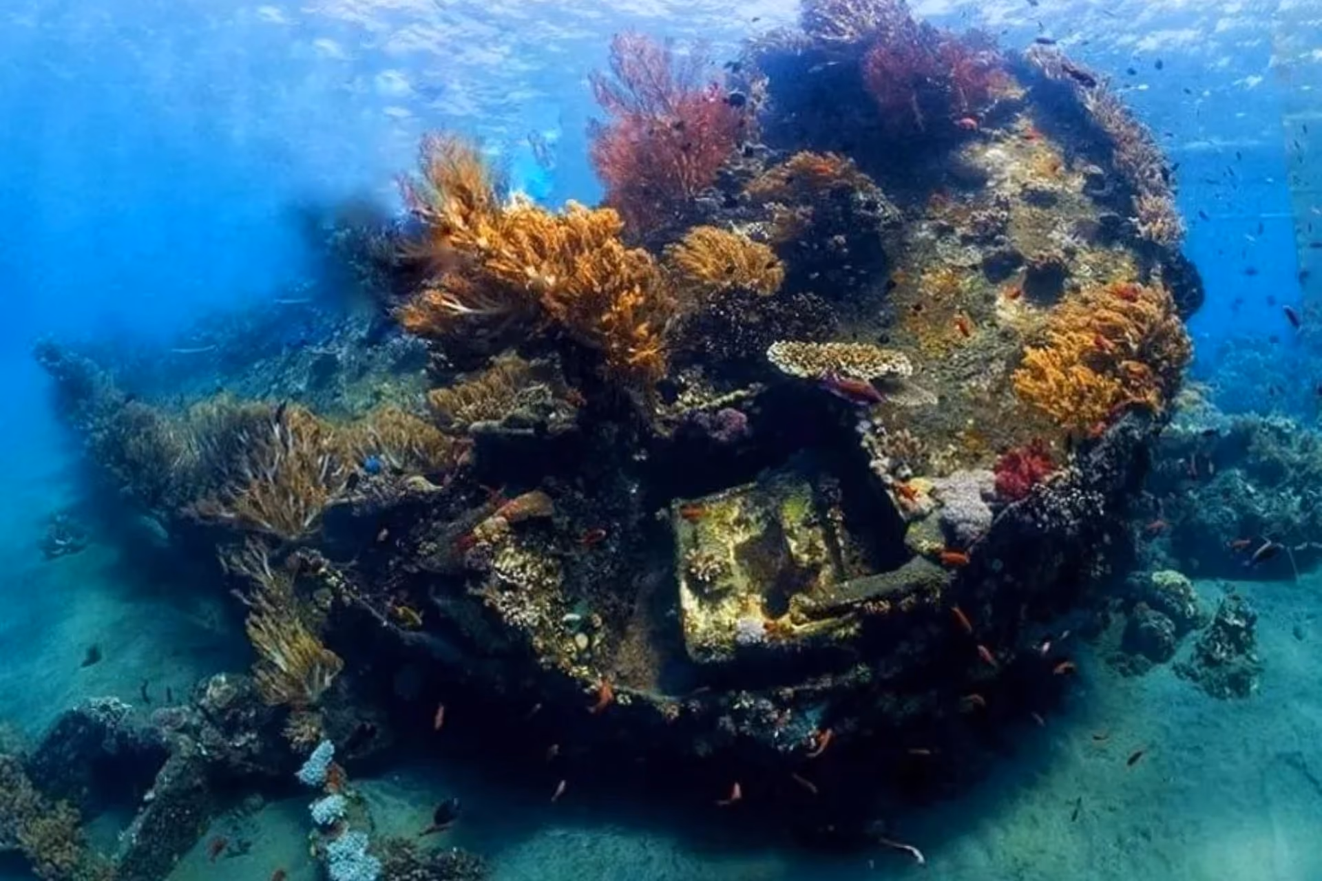 Underwater view of the Japanese Wreck in Amed, Bali.
