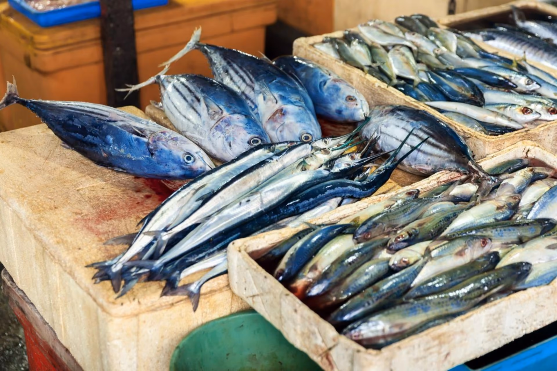Fishes for Sale at Jimbaran Fish Market.
