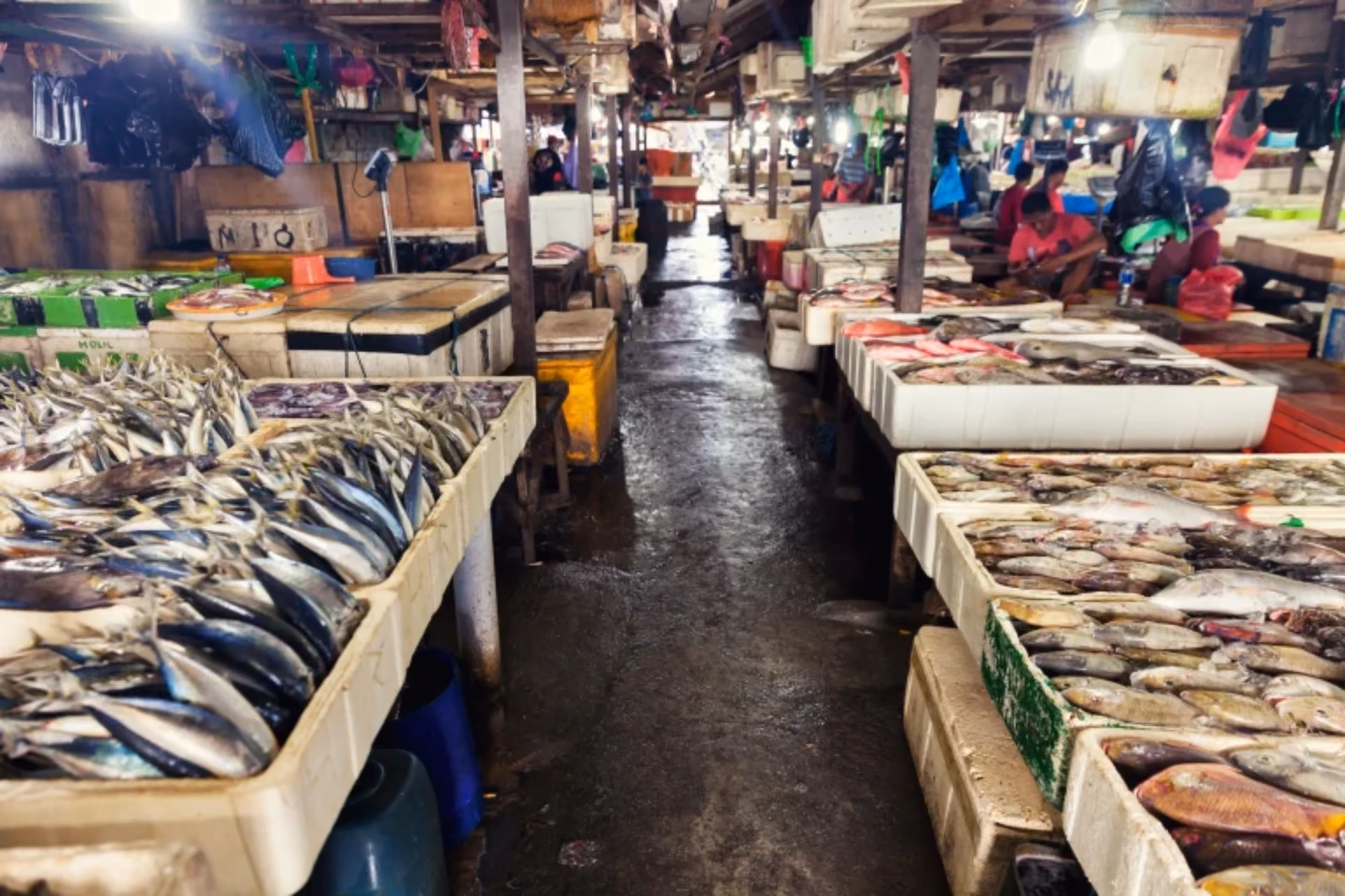 Seafood stall at Kedoganan Fish Market. 