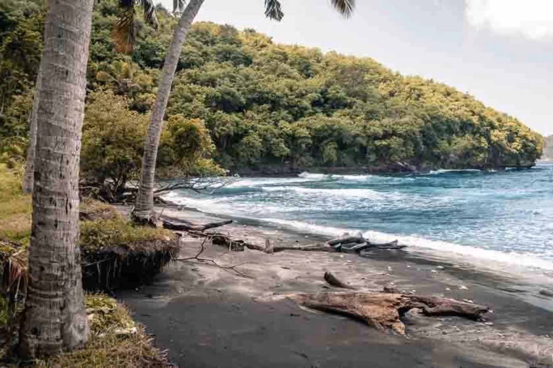 Gamat Bay surrounded with lush greenery.