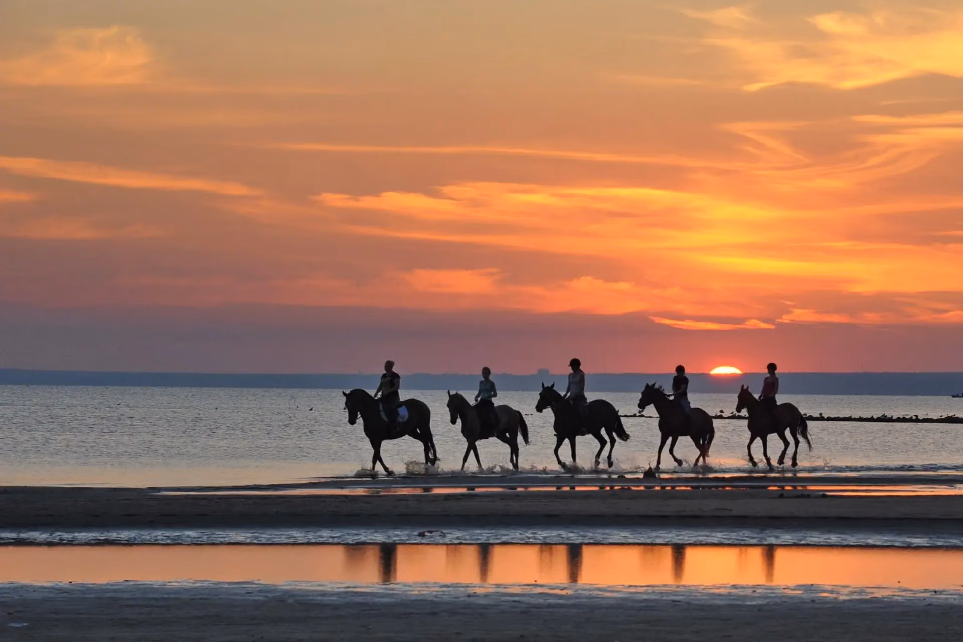 Horse Ride Along the Beach