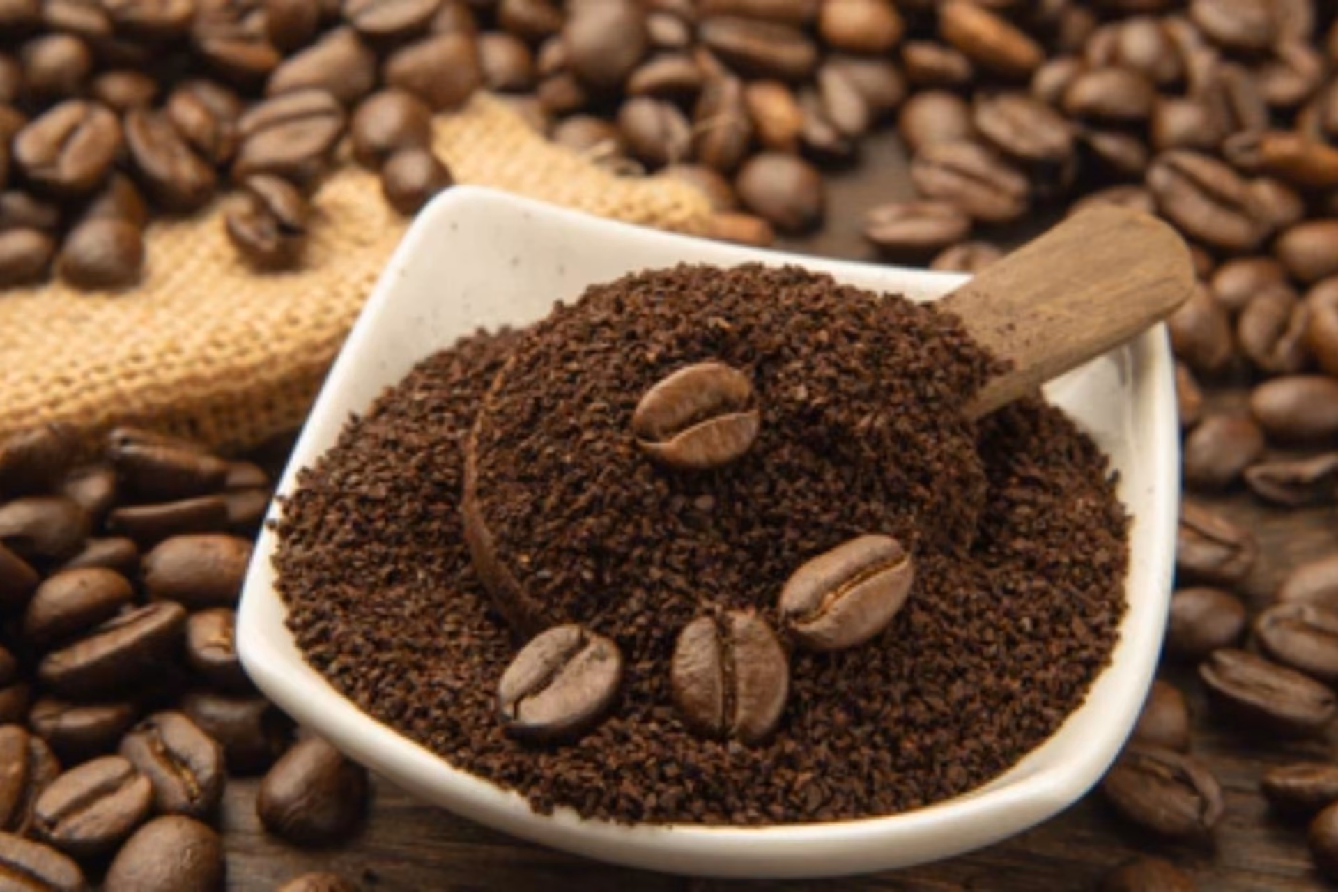 Golden Kirin Coffee Factory